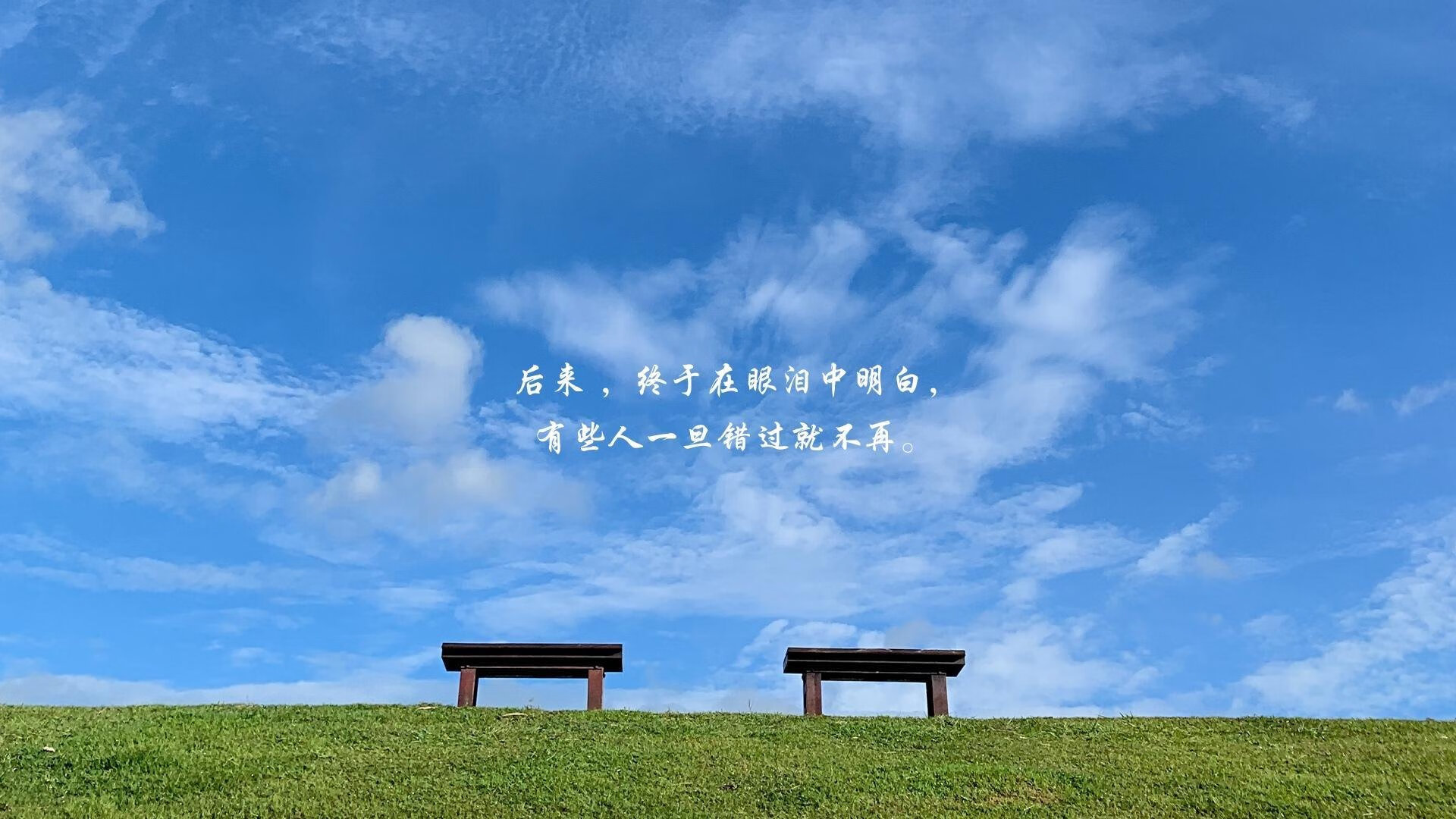 华体会app-智利巅峰对决，当安第斯雄鹰掠过莱比锡红牛，拉亚成为关键先生