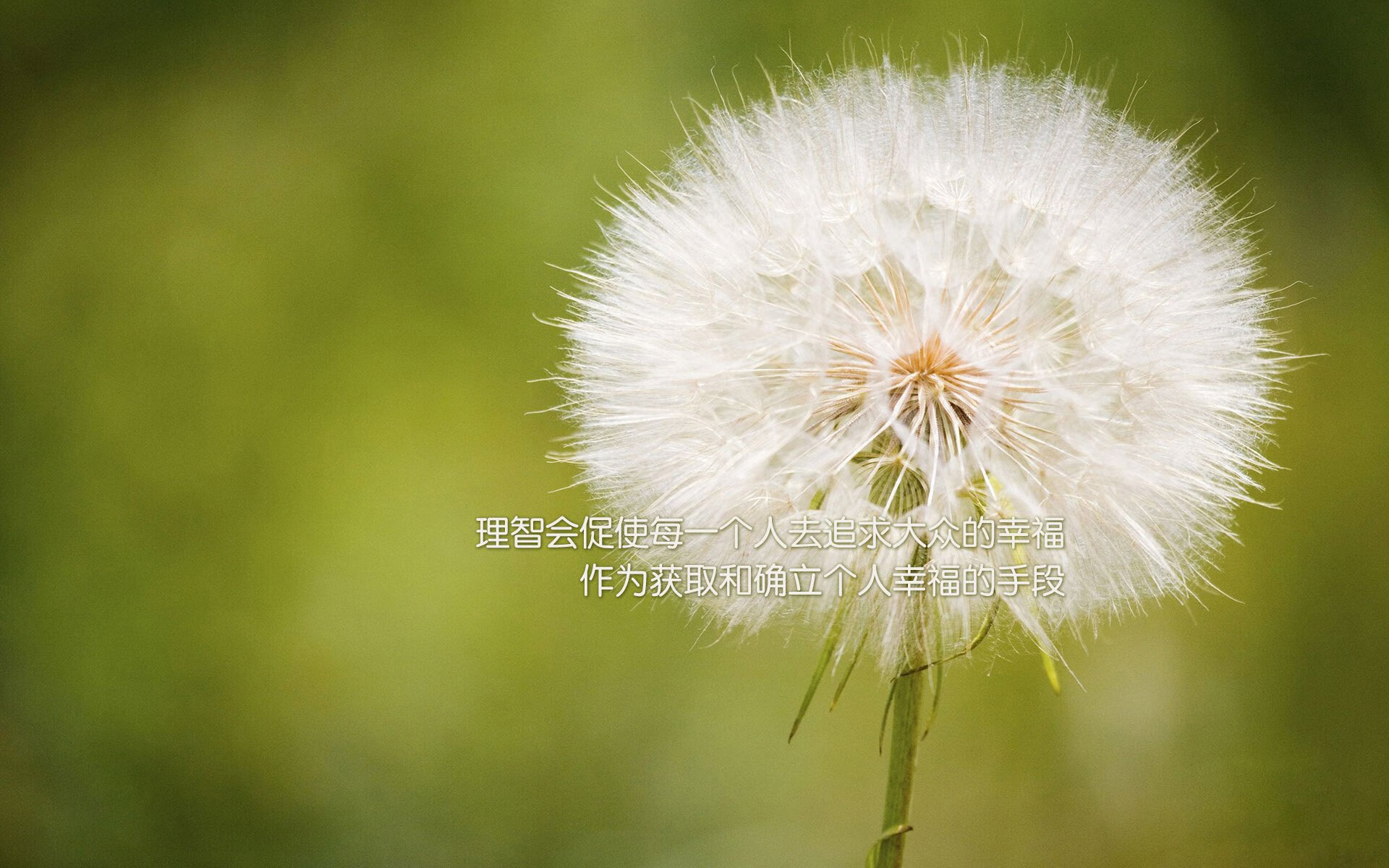 次元壁破裂之夜，当新疆飞虎在纽约击败篮网，约基奇如何成为跨界关键先生？